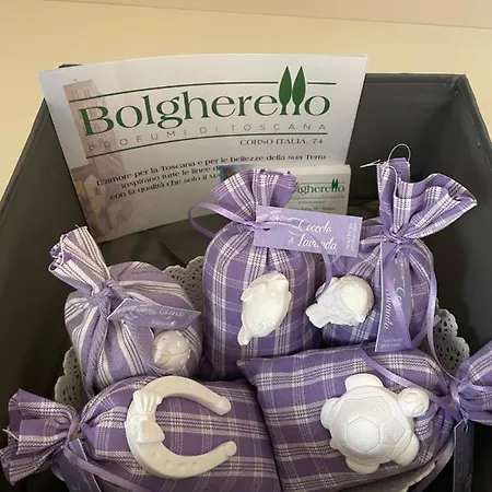 Appartamento Goldentuscany Arezzo